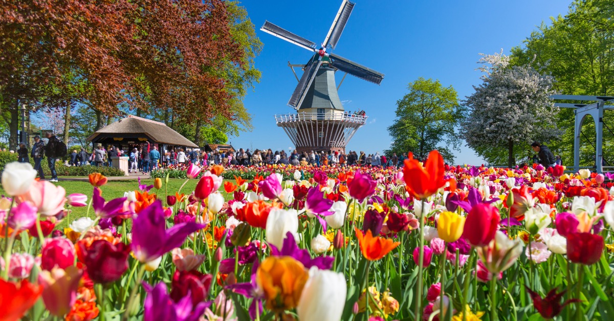 Keukenhof Slide 1